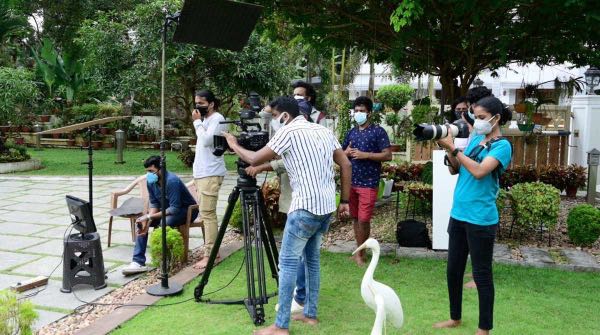 Documentary forest scene