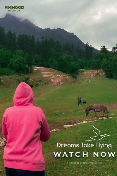 Dreams Take Flying documentary edit poster