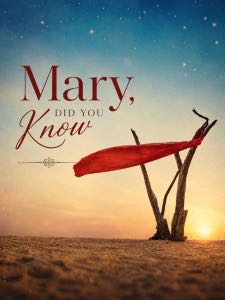 Mary Did You Know music video poster